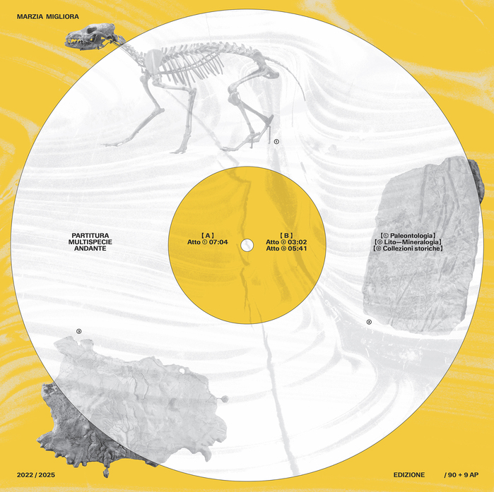 Marzia Migliora – Partitura multispecie andante album art 10