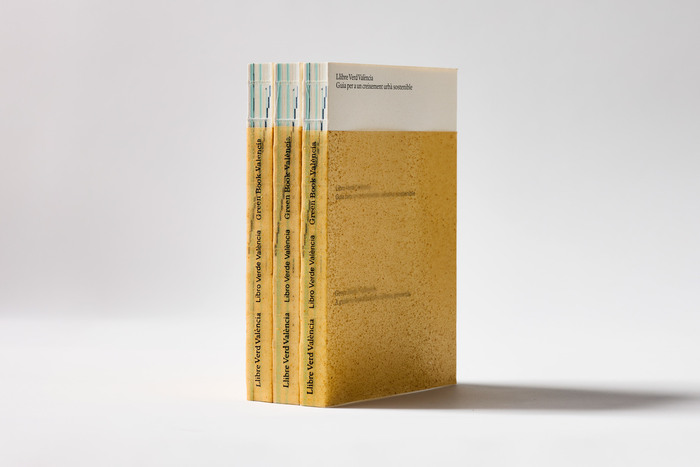 Llibre Verd València 1