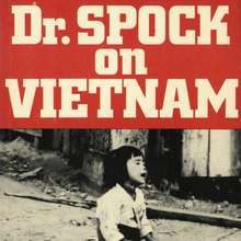 <cite>Dr. Spock on Vietnam</cite> by Benjamin Spock and Mitchell Zimmerman