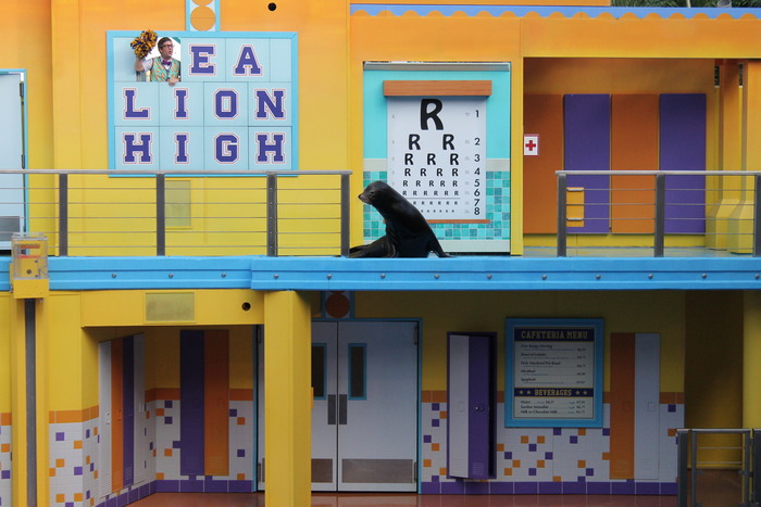 Sea Lion High 2