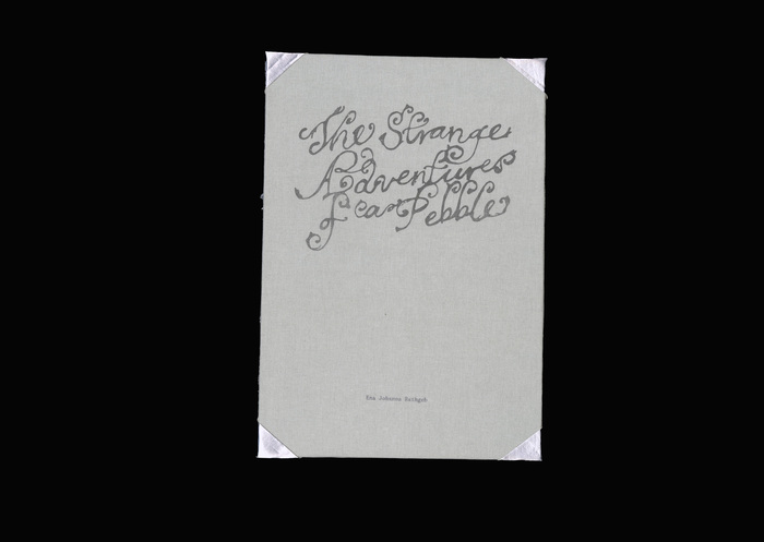 The Strange Adventures of a Pebble by Ena Johanna Rathgeb 1