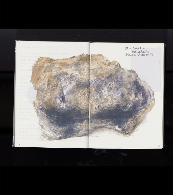 The Strange Adventures of a Pebble by Ena Johanna Rathgeb 7