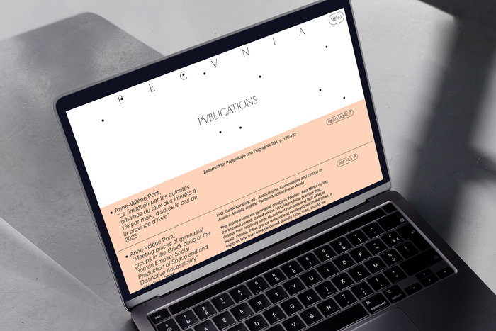 PECUNIA website 3