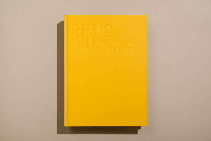 Hélio Oiticica: Delirium Ambulatorium exhibition catalog 2