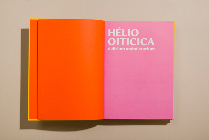 Hélio Oiticica: Delirium Ambulatorium exhibition catalog 3