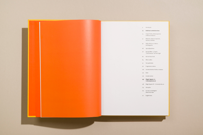 Hélio Oiticica: Delirium Ambulatorium exhibition catalog 4