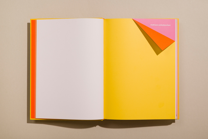 Hélio Oiticica: Delirium Ambulatorium exhibition catalog 8