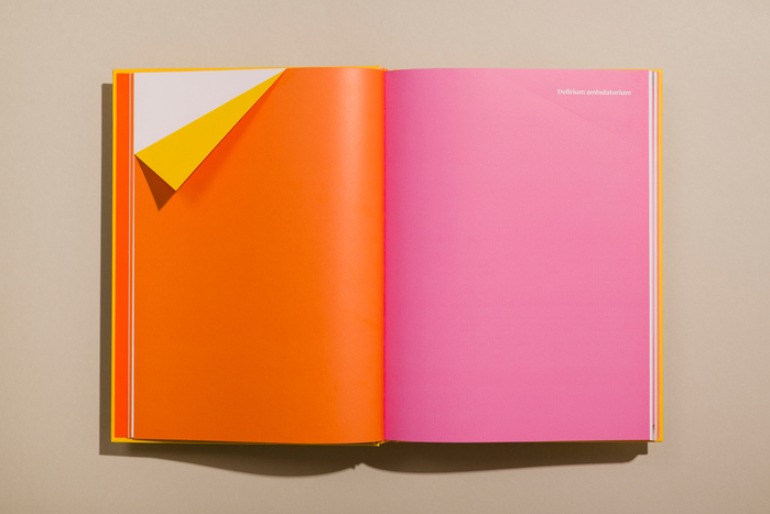 Hélio Oiticica: Delirium Ambulatorium exhibition catalog 9