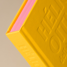 <cite>Hélio Oiticica: Delirium Ambulatorium</cite> exhibition catalog