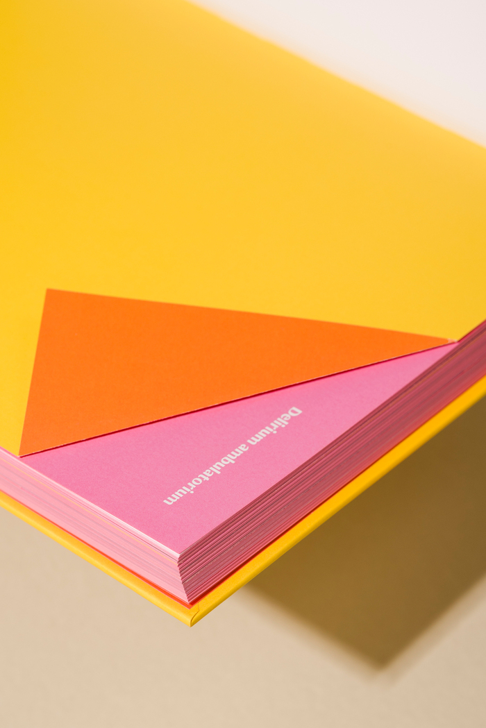 Hélio Oiticica: Delirium Ambulatorium exhibition catalog 7