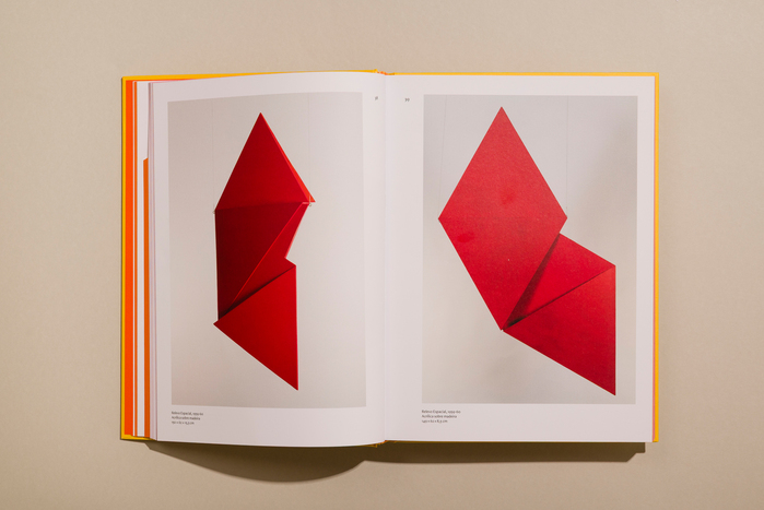 Hélio Oiticica: Delirium Ambulatorium exhibition catalog 6