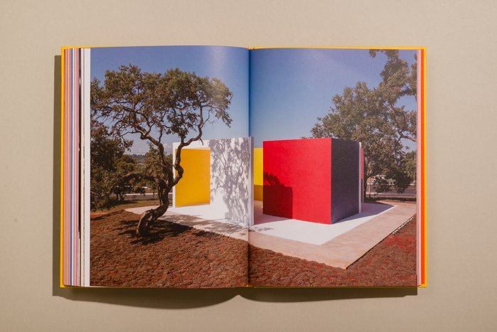 Hélio Oiticica: Delirium Ambulatorium exhibition catalog 10