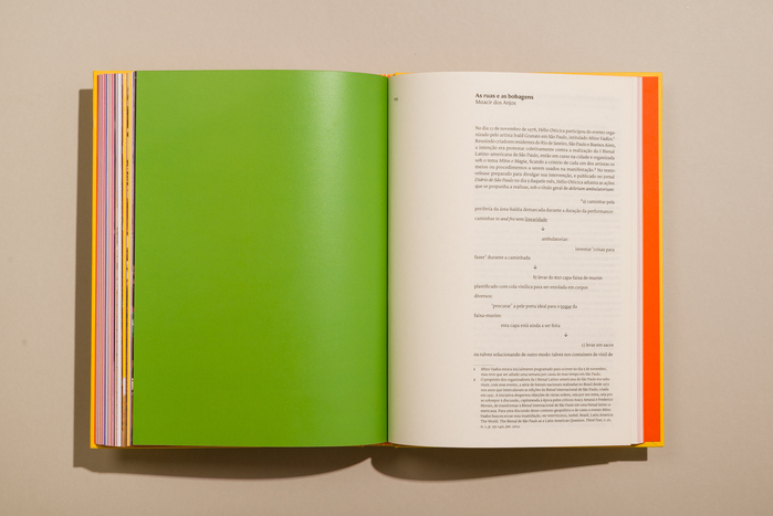 Hélio Oiticica: Delirium Ambulatorium exhibition catalog 11