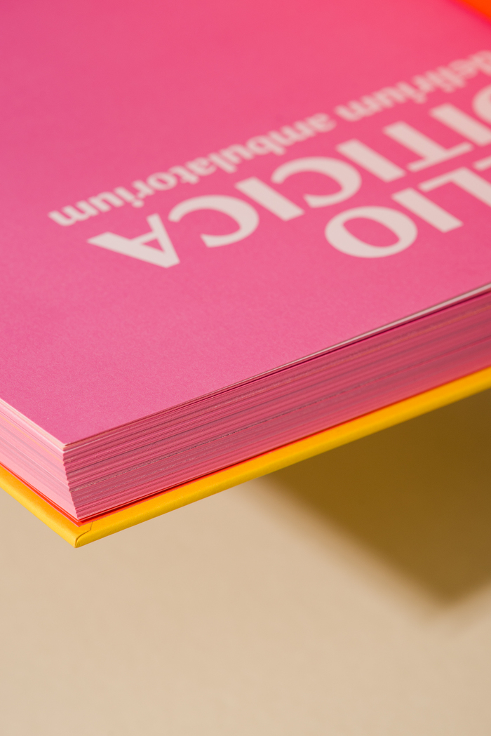 Hélio Oiticica: Delirium Ambulatorium exhibition catalog 13