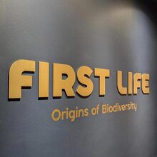 <cite>First Life: The Origin of Biodiversity</cite> exhibit at Royal Tyrrell Museum