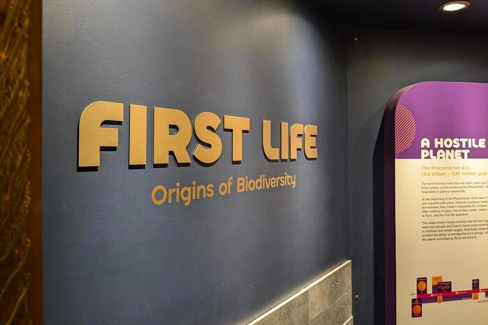 First Life: The Origin of Biodiversity exhibit at Royal Tyrrell Museum 1