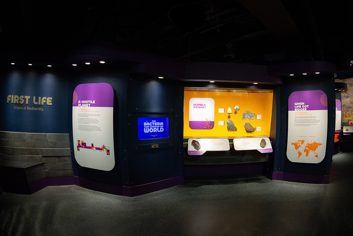 First Life: The Origin of Biodiversity exhibit at Royal Tyrrell Museum 2