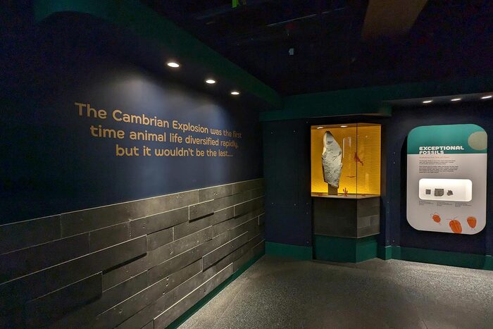 First Life: The Origin of Biodiversity exhibit at Royal Tyrrell Museum 3