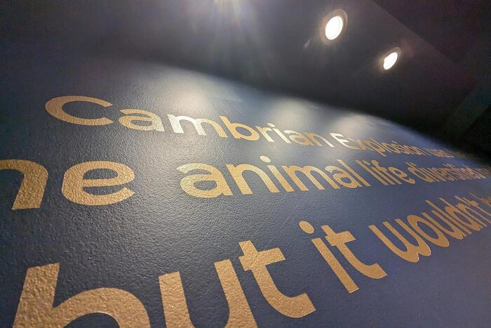 First Life: The Origin of Biodiversity exhibit at Royal Tyrrell Museum 4