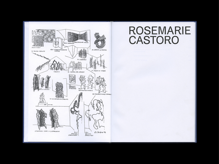 Rosemarie Castoro monograph 2
