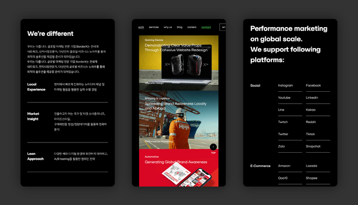 BorderX website 3