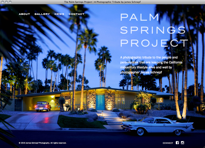 The Palm Springs Project website 1