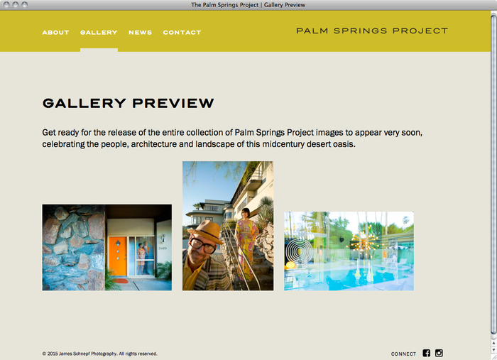 The Palm Springs Project website 2