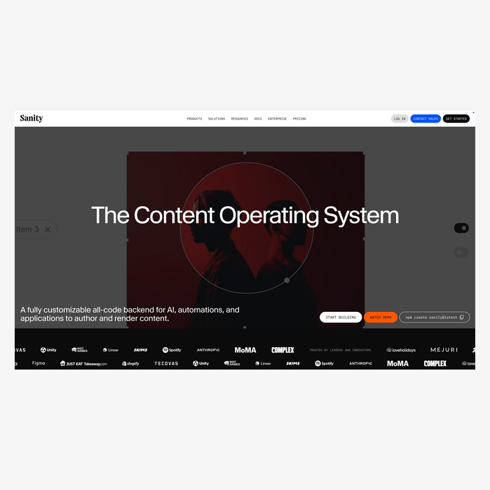 Sanity website 1