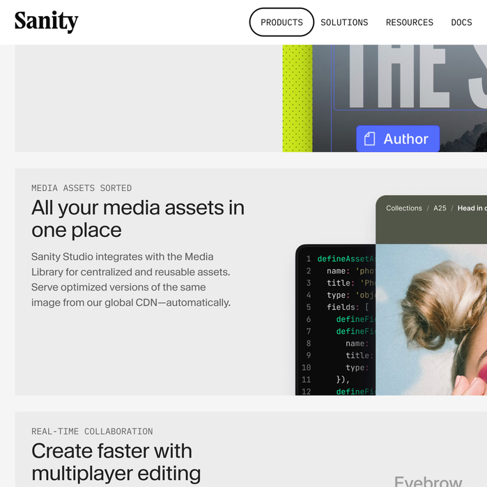 Sanity website 5
