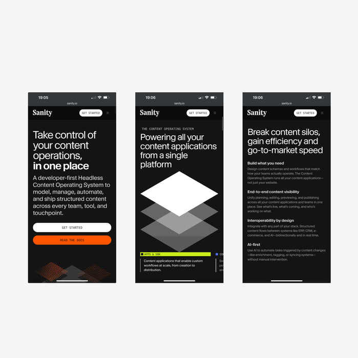 Sanity website 2
