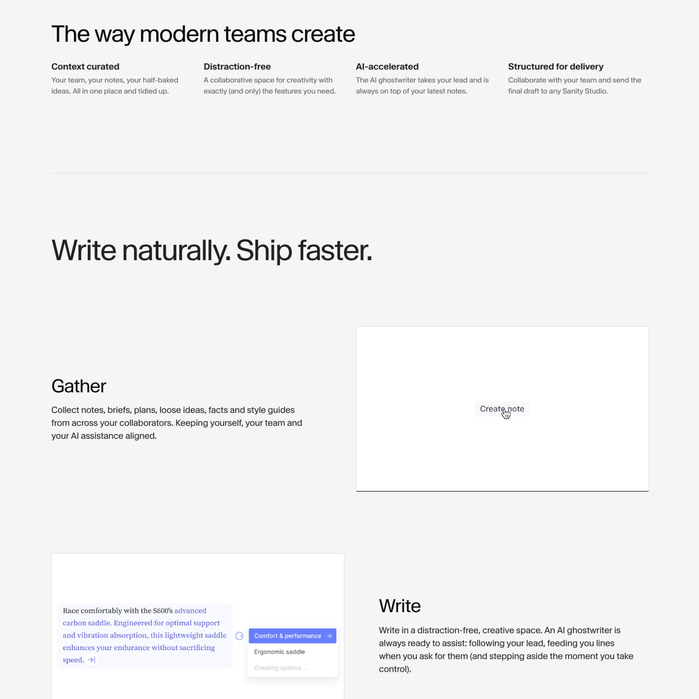Sanity website 7