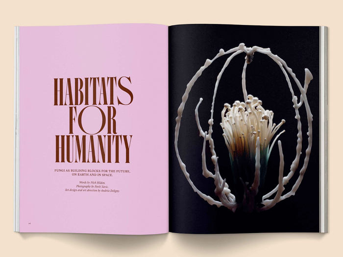 “Habitats for humanity” is set in .