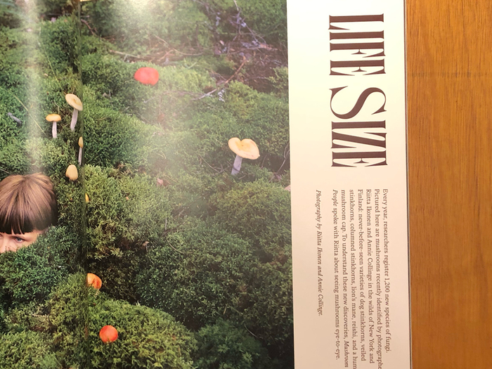 Mushroom People, Volume&nbsp;2 3