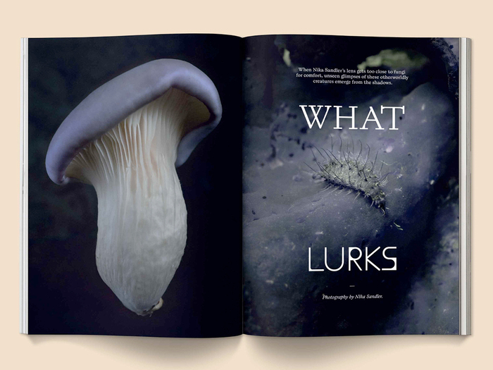 “What” and “Lurks” are both set in typefaces from :  and .