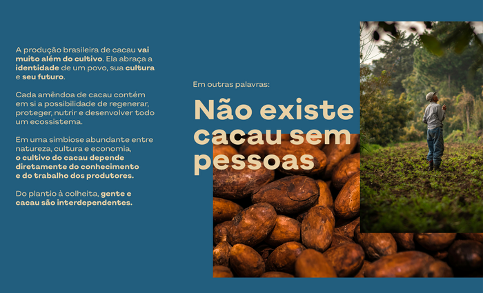 Cacau Brasileiro identity 2