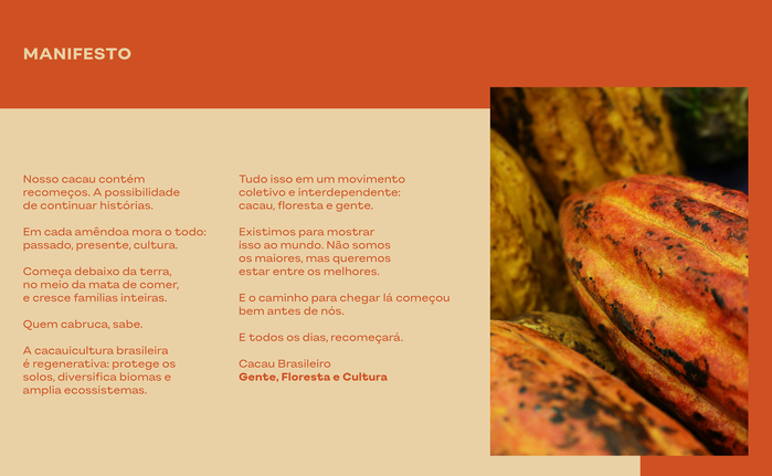 Cacau Brasileiro identity 8