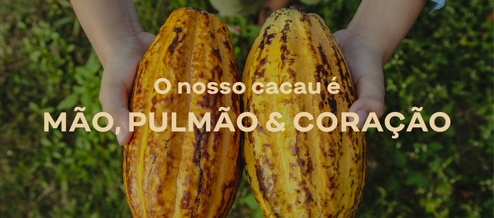 Cacau Brasileiro identity 9