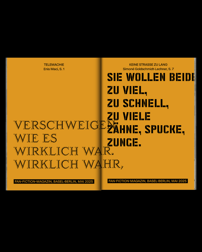 Danke fan fiction magazine, no. 2, “The Heidi issue” 5