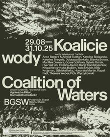 <cite>Koalicje wody / Coalition of Waters</cite>