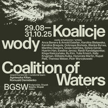 <cite>Koalicje wody / Coalition of Waters</cite>