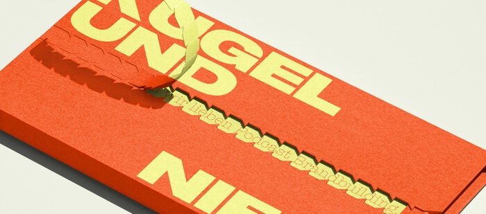 Kugel und Niere 2
