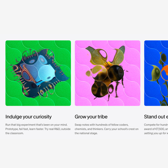 Stripe Young Scientist &amp; Technology Exhibition ’26 website 5