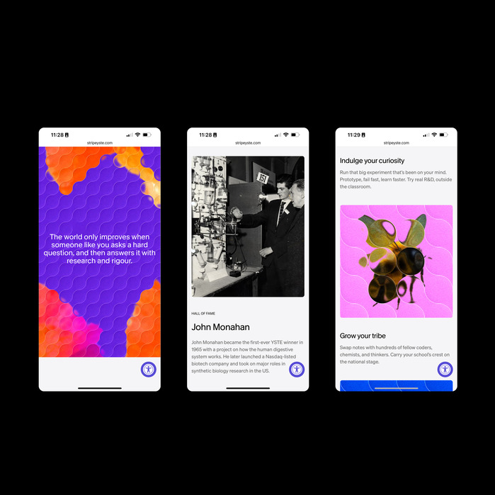 Stripe Young Scientist &amp; Technology Exhibition ’26 website 2