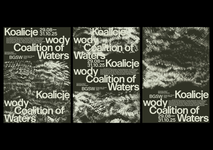 Koalicje wody / Coalition of Waters 5