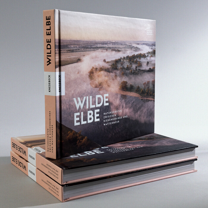Wilde Elbe 1