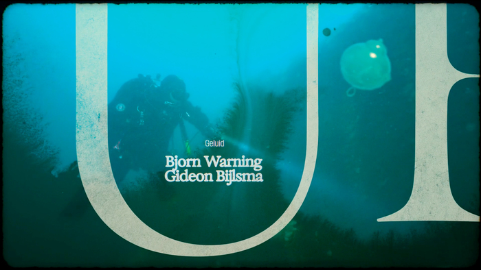 The Gown and the Shipwreck 3