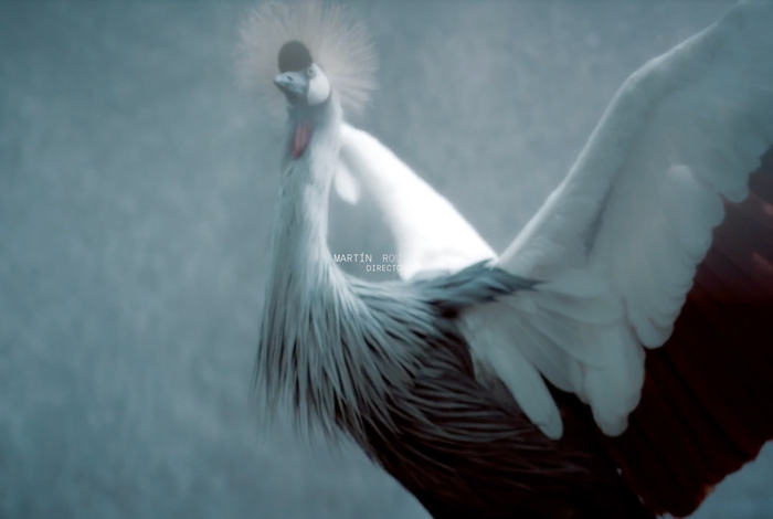 Martin Romanella website 4