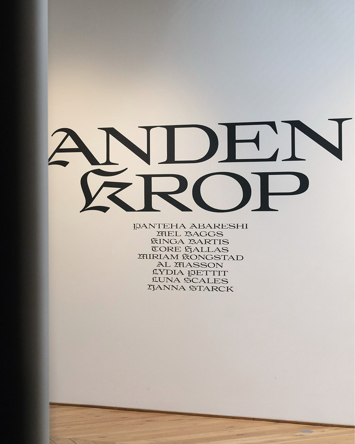 Anden Krop exhibition at Fuglsang Kunstmuseum 1
