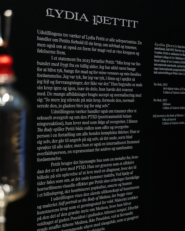 Anden Krop exhibition at Fuglsang Kunstmuseum 3