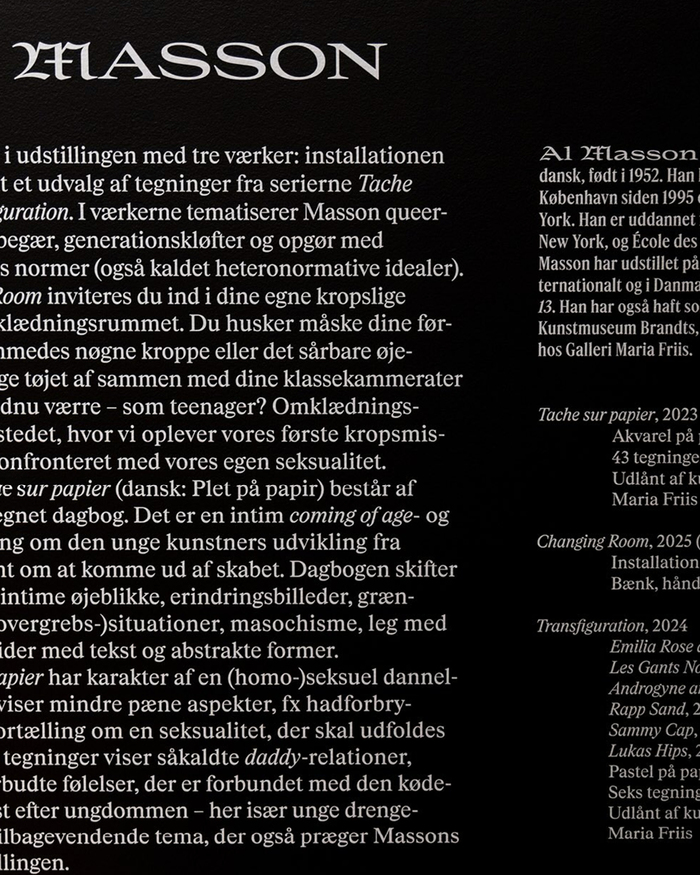 Anden Krop exhibition at Fuglsang Kunstmuseum 5